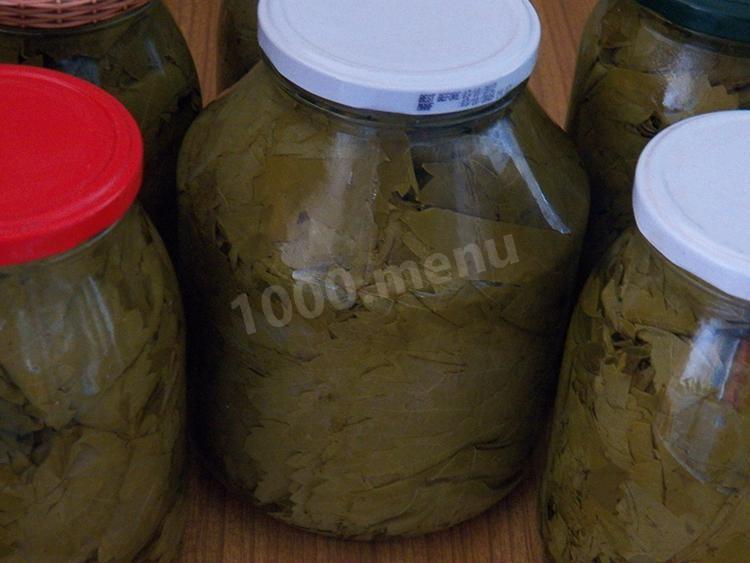 Eingelegte Weinblätter Rezept mit Fotos Schritt für Schritt Eingelegte Weinblätter Rezept mit Fotos Schritt für Schritt