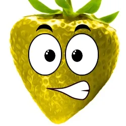 ペイズリー・ウィルソン